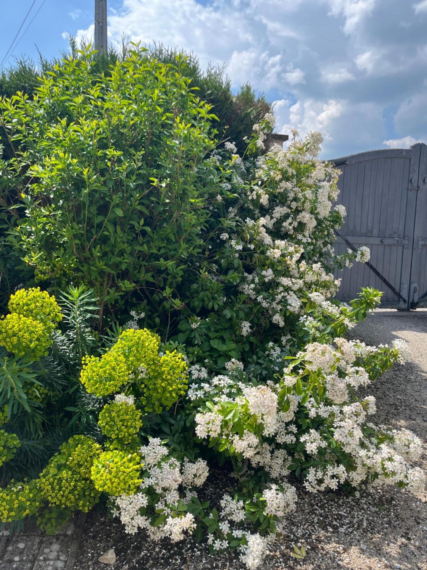 Gite Les Piraudieres Noyant-de-Touraine ภายนอก รูปภาพ